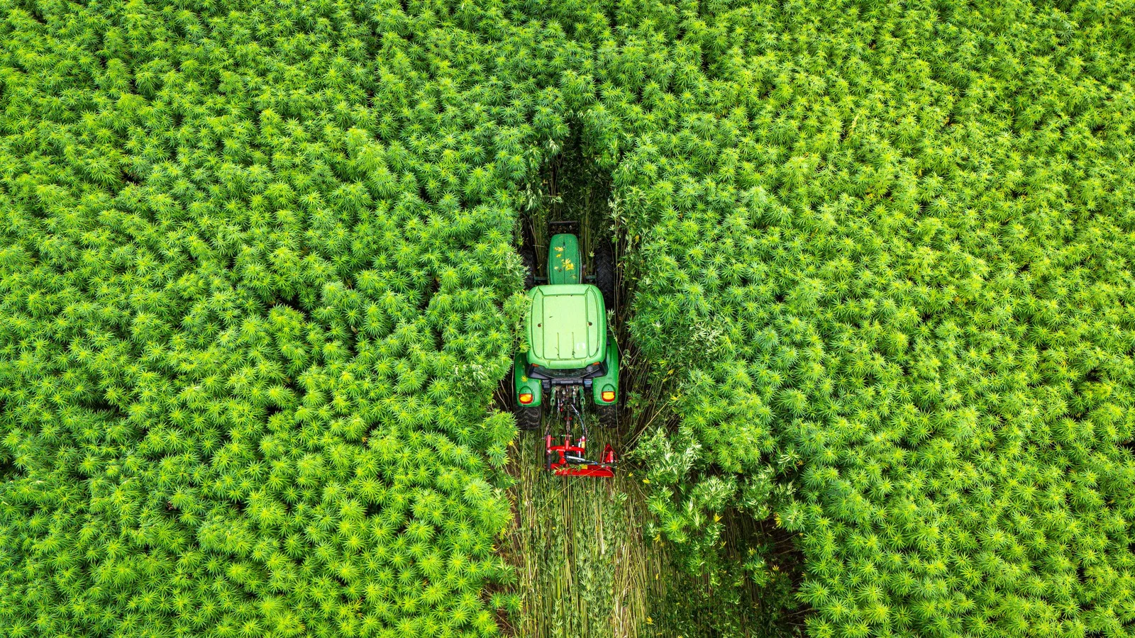 Vista aérea de um trator em uma plantação