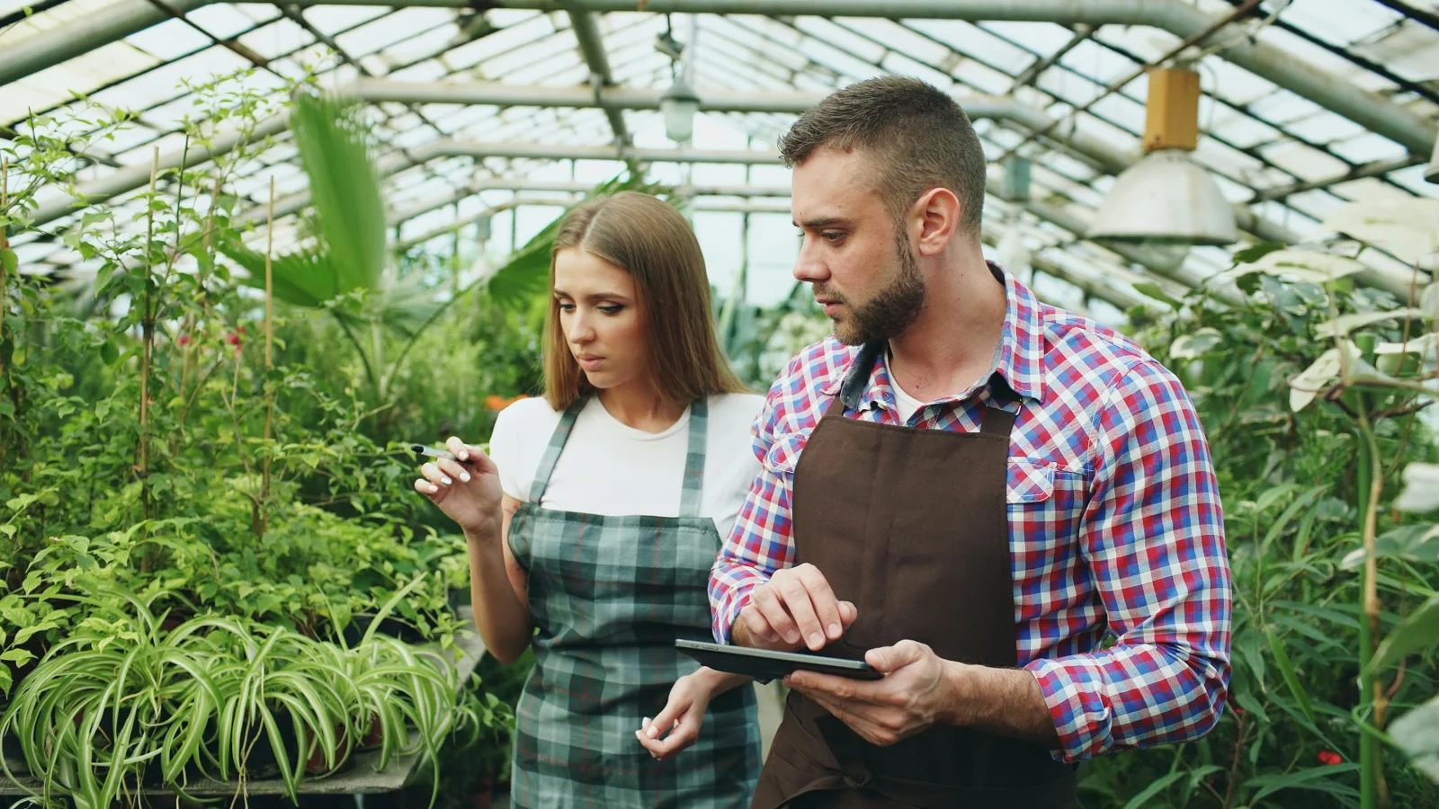 Duas pessoas consultando um tablet em uma estufa com plantas