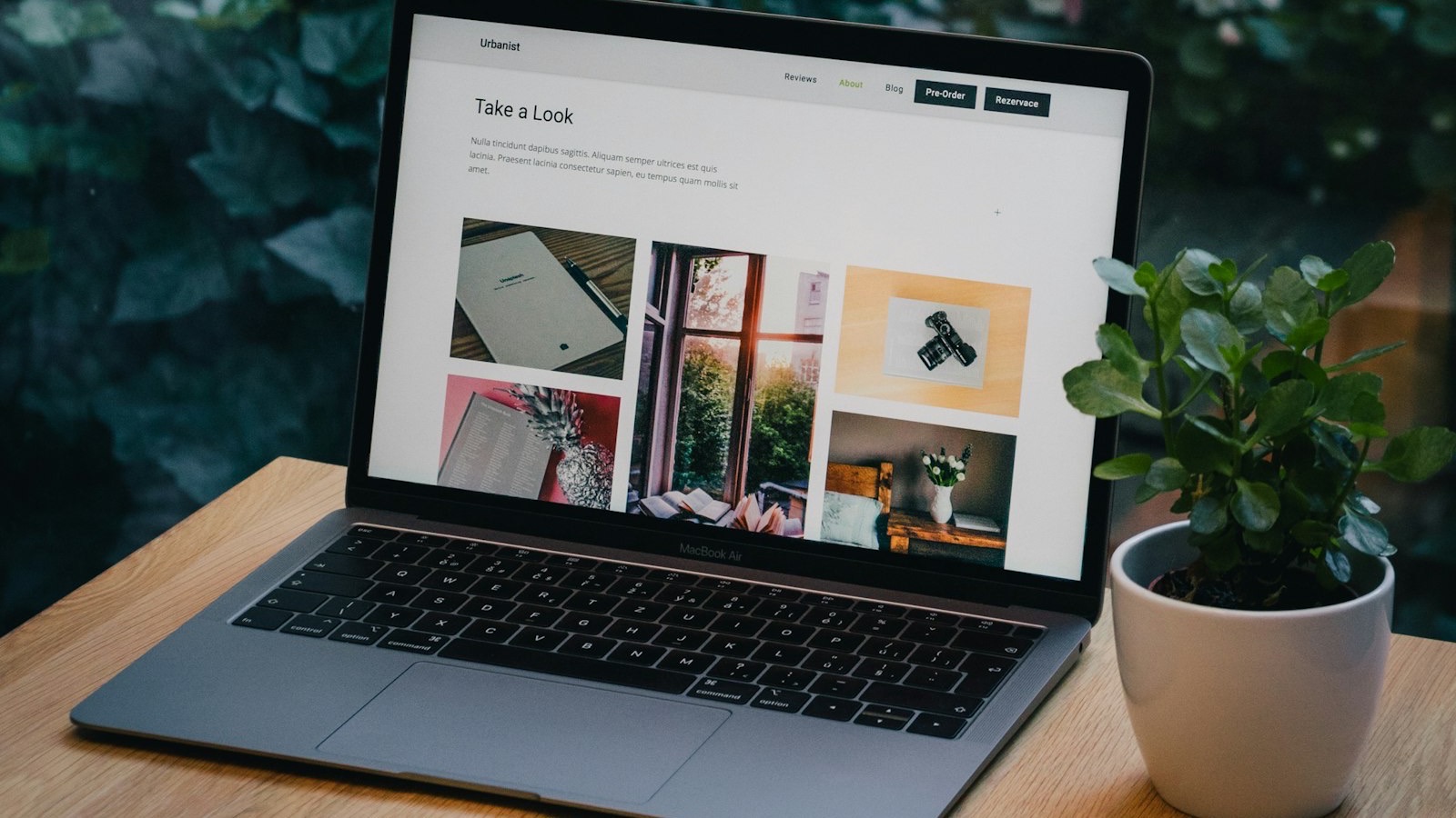 Notebook aberto sobre uma mesa de madeira exibindo um site de exemplo com fotos, ao lado de um vaso de planta