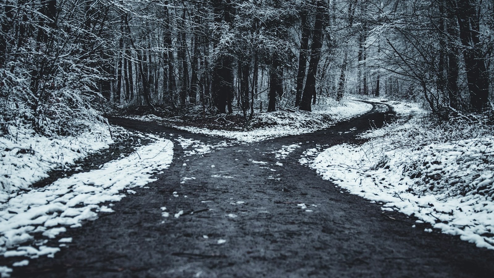 Caminho de terra em uma floresta com neve que se divide em duas trilhas