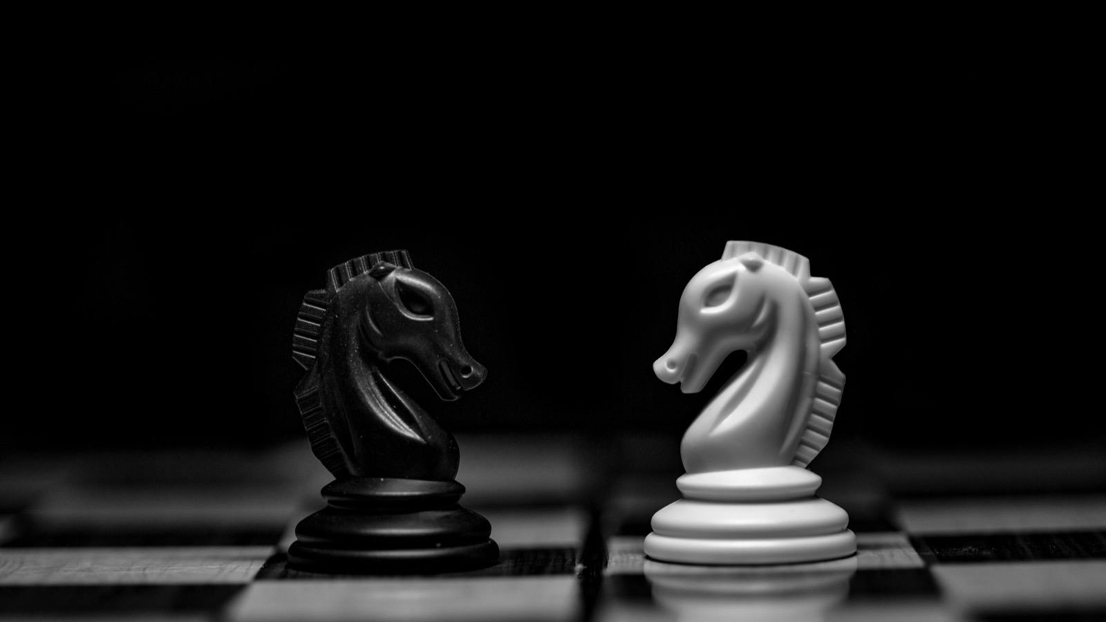 Dois cavalos de xadrez, um preto e um branco, frente a frente sobre um tabuleiro, em preto e branco